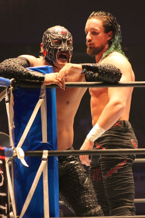 bladequeen92:  Switchblade Jay white and bushi