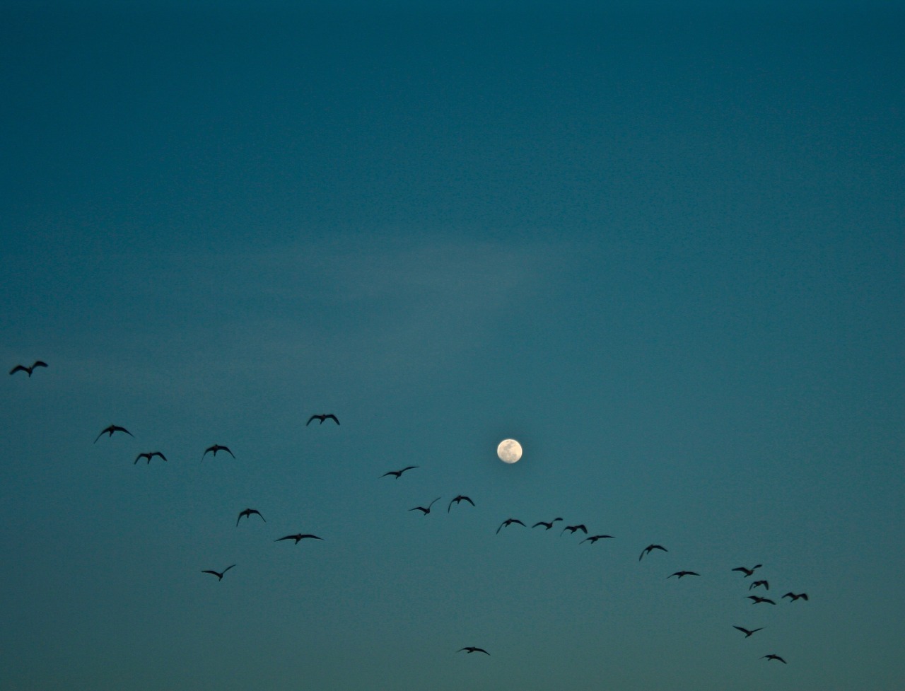 ashramof1: “Still, what I want in my lifeis to be willingto be dazzled—to cast
