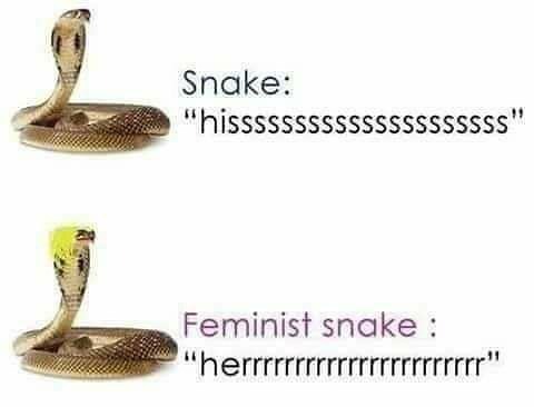 Snake:
"hisssssssssssssssss...