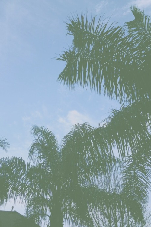 for more follow http://www.skippadap.tumblr.com ❤