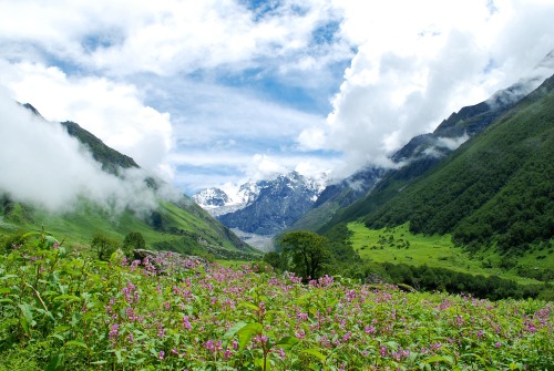 Valley of Flowers Valley of Flowers National Park sits in the state of Uttarakhand, India, close to 