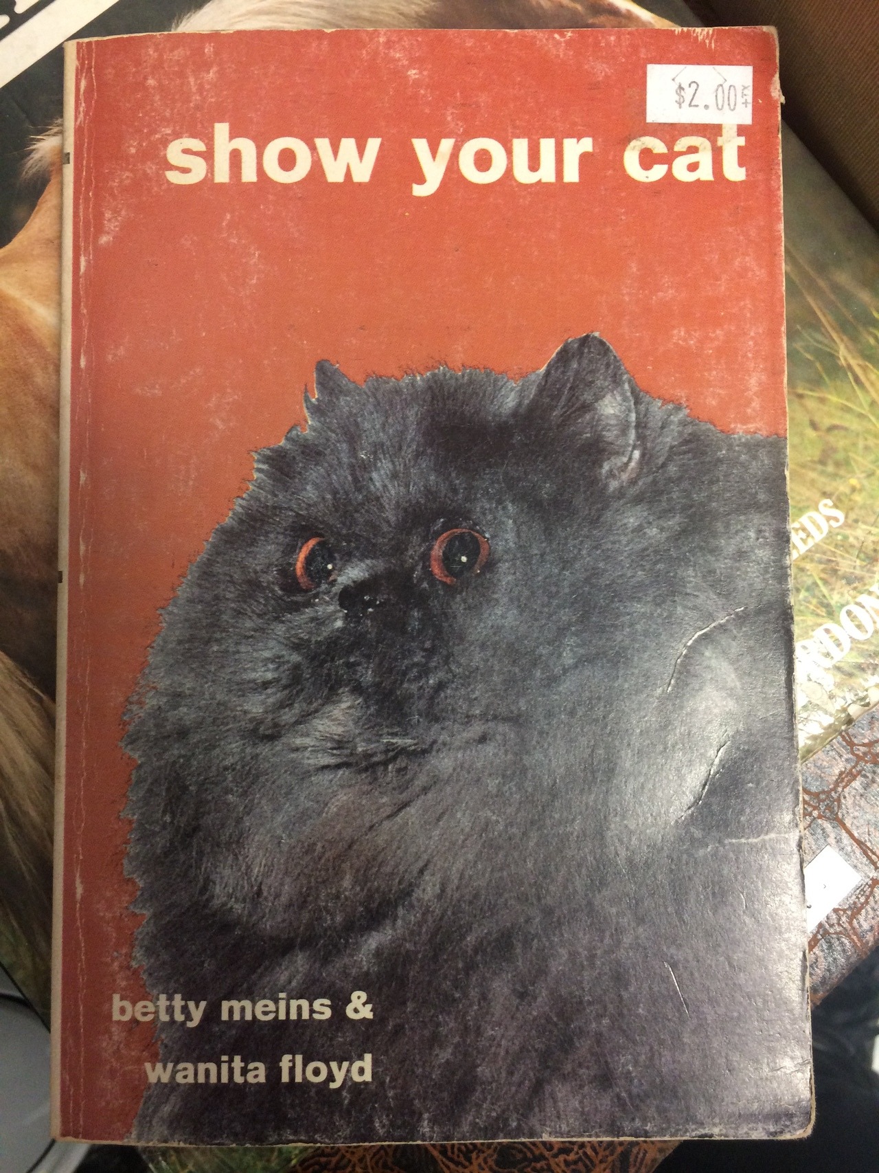 stylizedcorpse: Weird cat health book from a venue in Indianapolis.