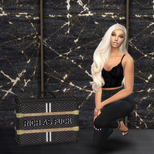  Goyard ‘Rich as F–K’ Kris Jenner Inspired Suitcase      Now on my Patreon!DOWNLOA