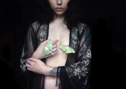 loverscarvings:  roserust:  Actias luna 