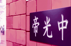 keiko-chan: Kuroko no Basket + Cherry blossom
