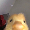 nrefn:I started being evil as a joke now im actually evil.fuck.