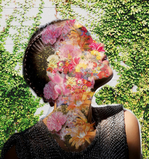 eclisi:  marigolde:  purifey:  marigolde:  Collage #9  you’re so creative   thank you!  these are stunning.