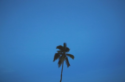 carpe diem