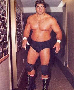 fishbulbsuplex:  Don Muraco  #legend