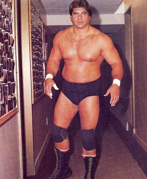 fishbulbsuplex:  Don Muraco  #legend adult photos