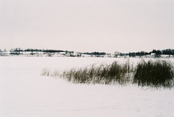 remiaguilellawastaken:  MINNESOTA