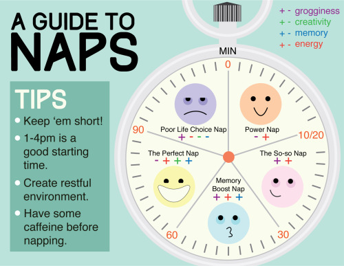 huehuelittle: femme-faunlette: onwingstodestiny: A Nap Infographic I did for class. Because Naps are