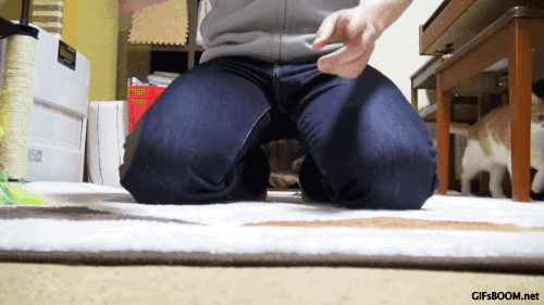 gifsboom:  Video Via: MAKO0MAKO0 + GIFs