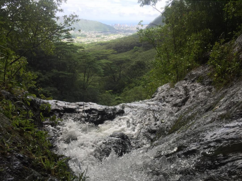 walshisaweedbrain:  Lauren Jauregui + nature pics 