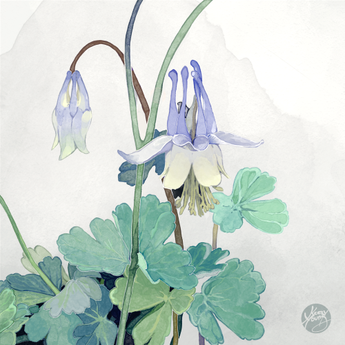 Blue Flowers | INPRNT |