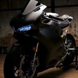 ducatiobsession:  Crazy Blue Eyes 👀  #ducatiobsession  #ducati #ducatimonster #ducaticorse #ducatista #ducatisofinstagram #ducatistagram #ducatigram #ducatilife #panigale #sportbike #sportbikelife #sportbikes #motorcyclesofinstagram #motorcyclemafia