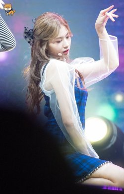 dailysana:  ♡ SANA’S SHIBA | do not edit