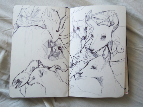 scrickiras:sketchbook work from a trip to a museum with a lot of taxidermy boo