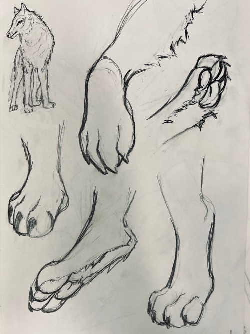 Maw And Paw Studies