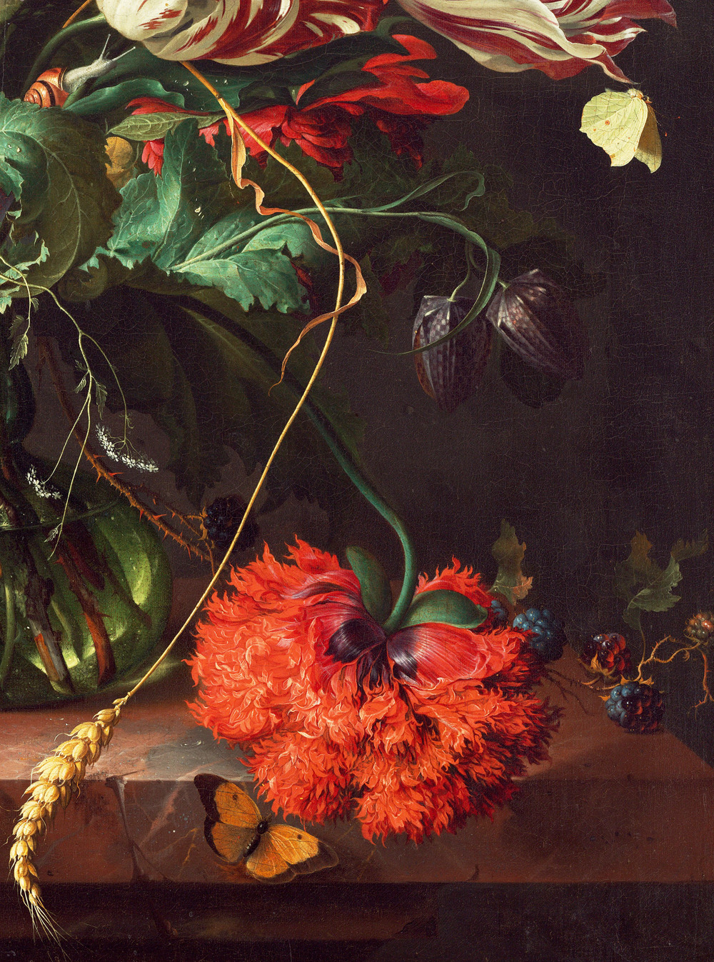jaded-mandarin:   Jan Davidsz de Heem. Detail from Vase of Flowers, 1660. 