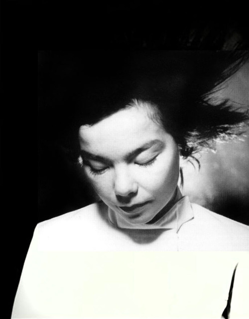 katebush: bjork | wendy idele | 1997