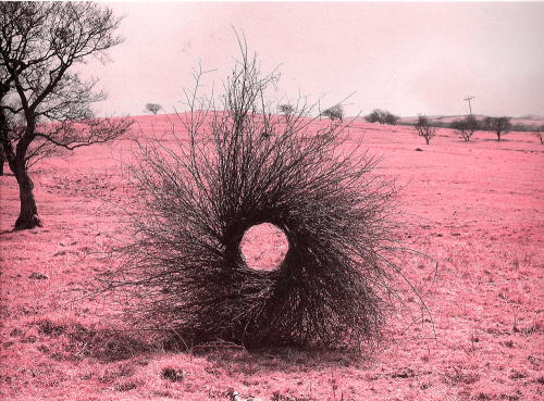 wetheurban:  SPOTLIGHT: Nature Sculptures by Andy Goldsworthy Andy Goldsworthy is a brilliant British artist who collaborates with nature to make his creations. Read More 