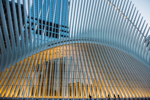 The Oculus, the dramatic Santiago Calatrava–designed transit hall in Lower Manhattan. : Julien