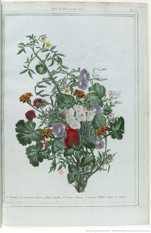 Decorated title page and botanical illustrations taken from ‘Bouquets de Flore’ by  P. J. Buc'hoz (1