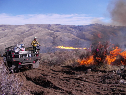 mypubliclands: #NotYourOrdinaryJob: So you want to be a wildland firefighter… Do you enjoy the outdoors? Looking for adventurous career? Want a job that challenges you physically? A wildland firefighting job might be for you!  Wildland firefighters