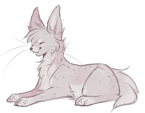   just messing around, wanted to see what harumi would look like with shorter ears, kinda like a serval body shape, to see if she her feline part would be more recognizable 