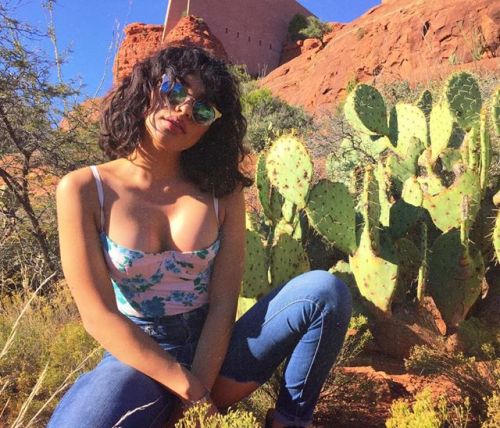 shellyfountains:  🌵Sundevil🌵 