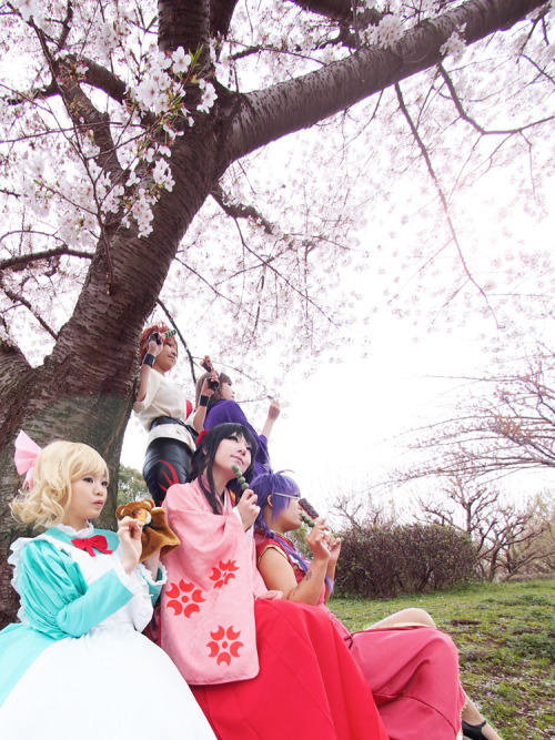 「サクラ大戦」Sakura Wars / お花見
Sumire = Yunaka, Sakura = Ryoko Yamada, Kanna = Uri-bo, Iris = Micronekomi, Kohran = mey, Photo = Higuchi, Kobayan