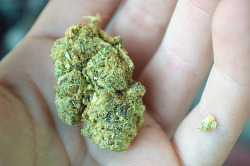 coloradokushhh:  krumkakekush:  emaciada: