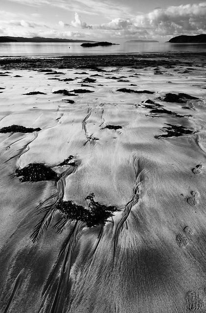 forbiddenforrest:
“ Torrin Beach by megalithicmatt on Flickr.
”