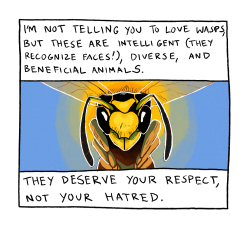 bumbledeefumble:symbolone:this has been a wasp psa