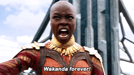 suicidesquads:I definitely related to her power and purpose. Okoye was very purposed and I think she