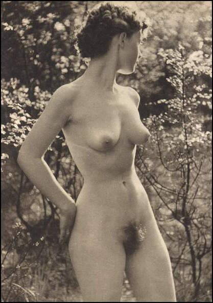 amalgammaray:  venus in furs