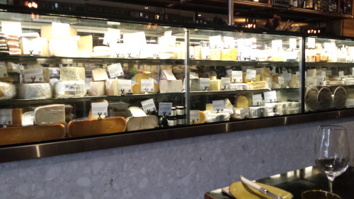 tinybuckylife:Tiny Bucky and Steeb visit a Fromagerie to have some cheese fondue!And baked brie.And 