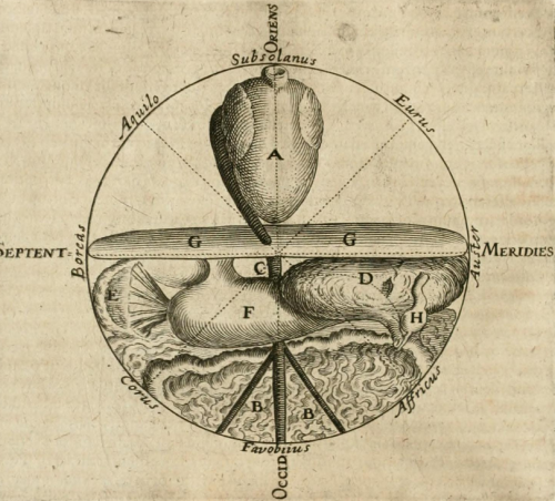 magictransistor:  Robert Fludd. Anatomiae Amphitheatrum Effigie Triplici. 1623.