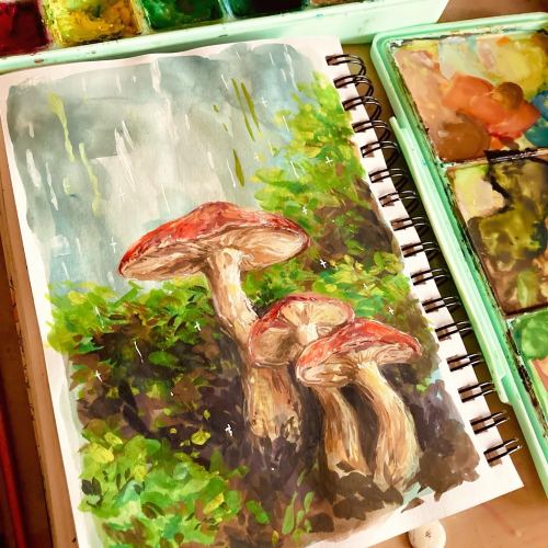 cheddart:gouache mushrooms i painted :]