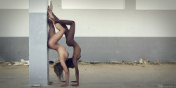 gentlekama:  Ivory and Ebony by FBenveniste