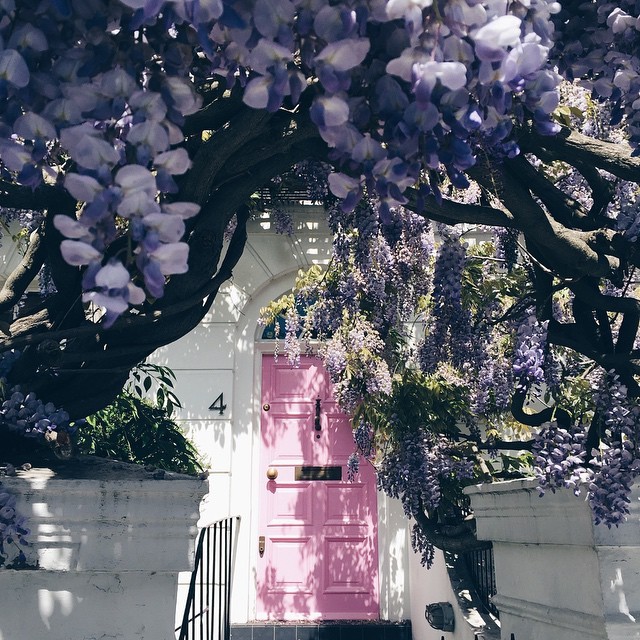 floralls:    by  liolaliola  