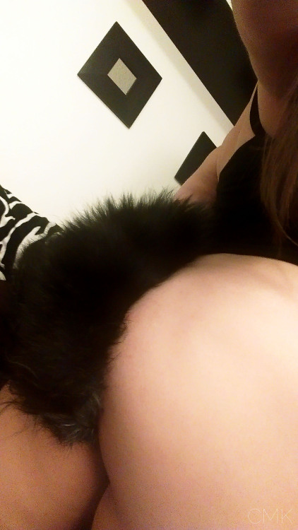 curiousmisskitty:  More tail time.  I can’t adult photos