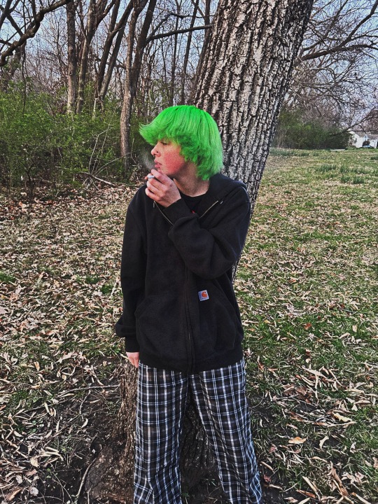 Tumblr media