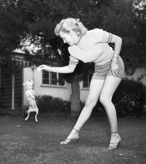 50sbabyy: Marilyn Monroe, With a chihuahua, Beverly Hills, California. May 17, 1950