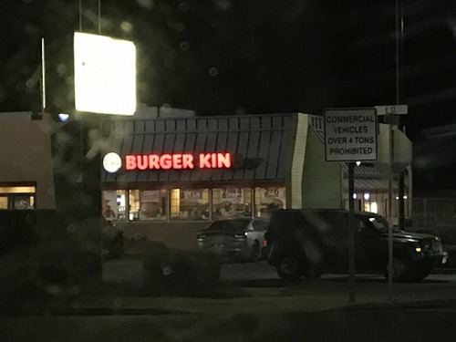 choochoobear: liopluraldon: an important picture i took last year My burgersona is a double with ext