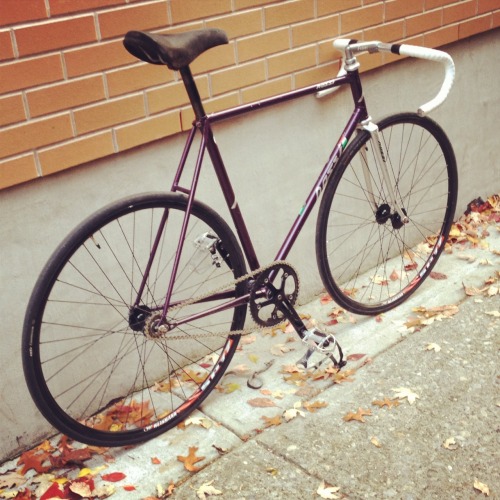 pedalpartner:  New builds
