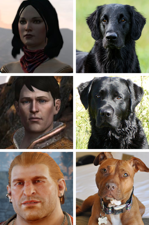 little-black-otter: Added some Inquisition doggos now that I’ve finished the game.  Here 