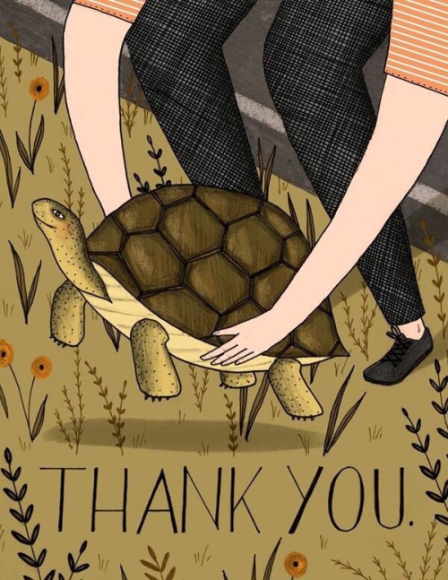 New Turtle Thank You cards! www.etsy.com/listing/246216007/turtle-thank-you-card