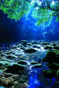 journey-to-balance:  ~Spiritual Awakenings~You are Exactly Where You Are Meant to